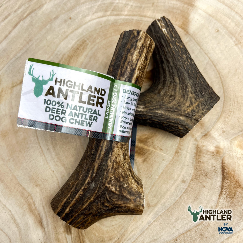 Antler Large (Min 150g)