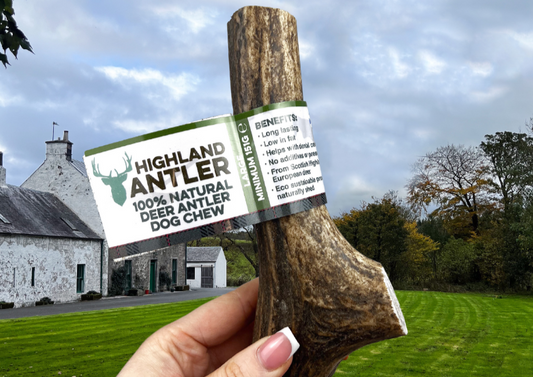 Antler Large (Min 150g)